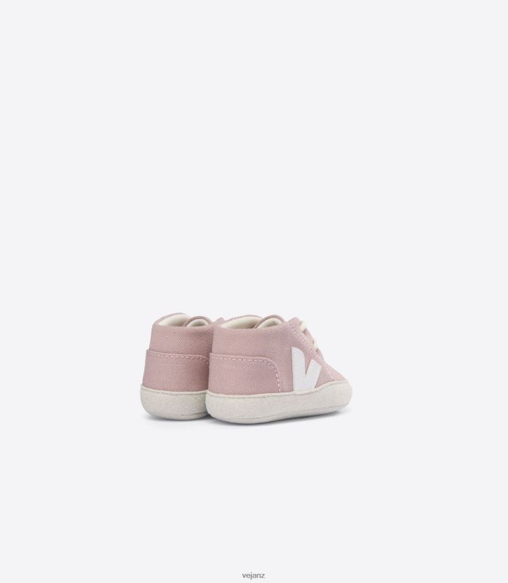 BABY CANVAS BABE WHITE Kids Veja D42FZB405 Shoes