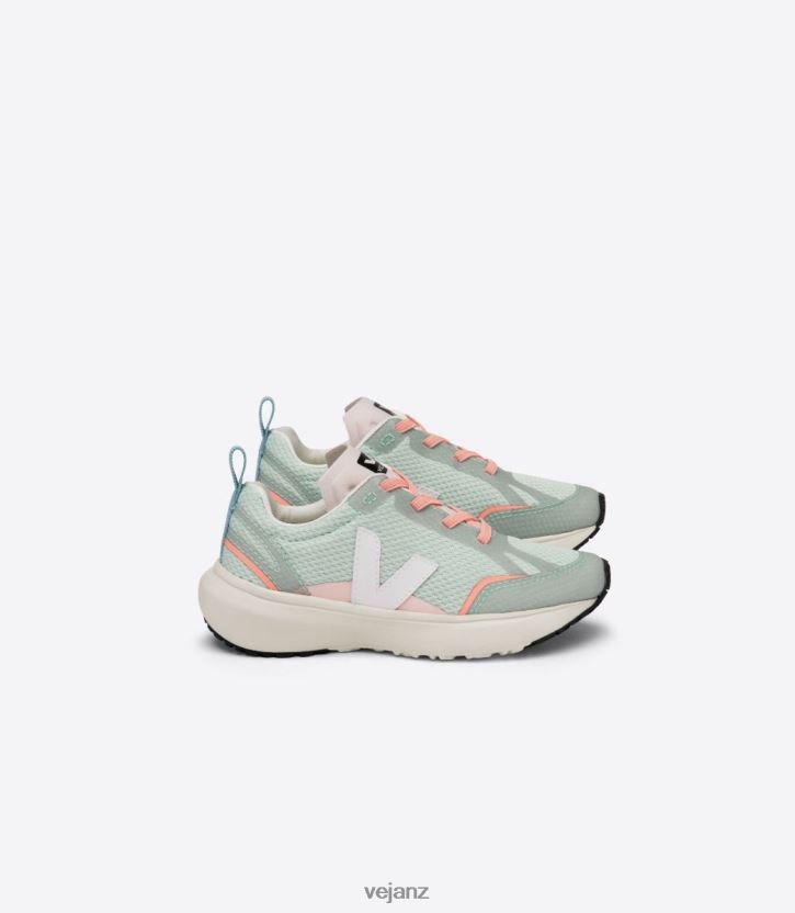 CANARY ELASTIC LACES ALVEOMESH MATCHA WHITE Kids Veja D42FZB390 Shoes