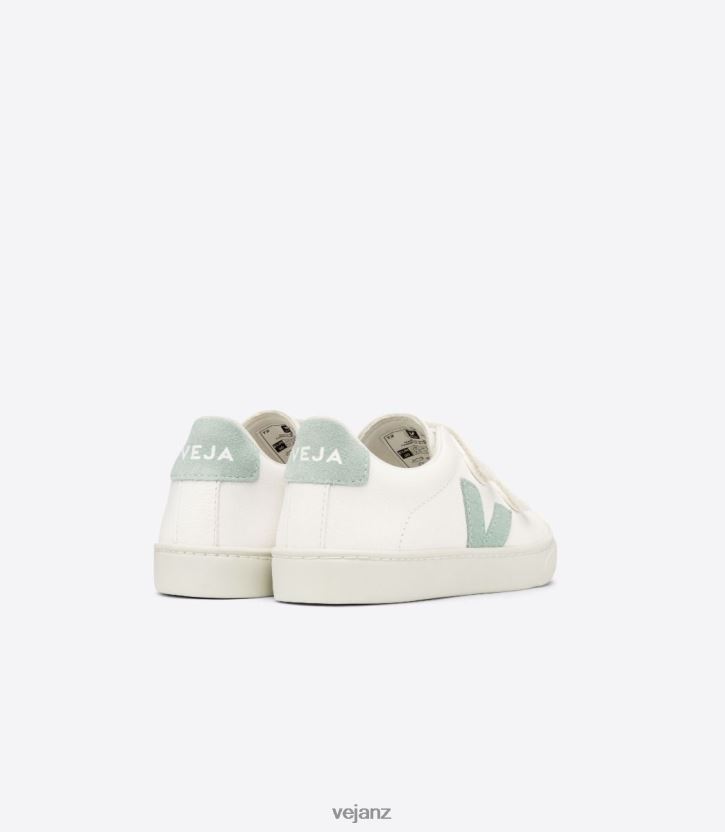 ESPLAR CHROMEFREE LEATHER WHITE MATCHA Kids Veja D42FZB329 Shoes
