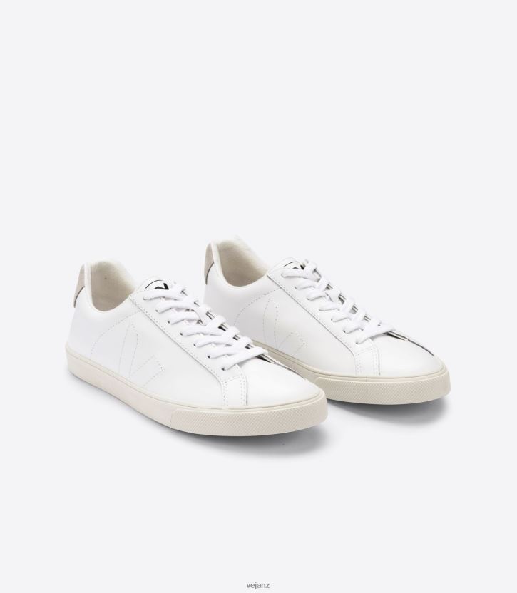 ESPLAR LEATHER WHITE Men Veja D42FZB89 Shoes