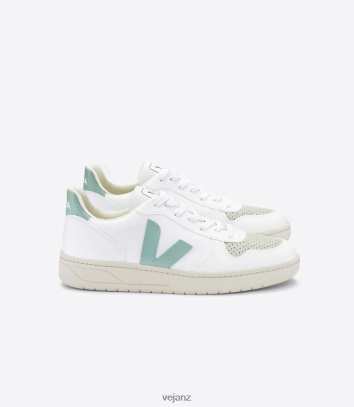 V-10 CWL WHITE MATCHA Men Veja D42FZB64 Shoes