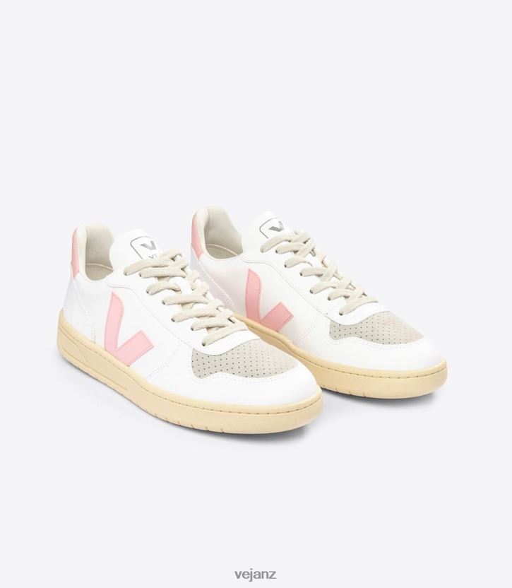 V-10 CWL WHITE PETALE Men Veja D42FZB52 Shoes