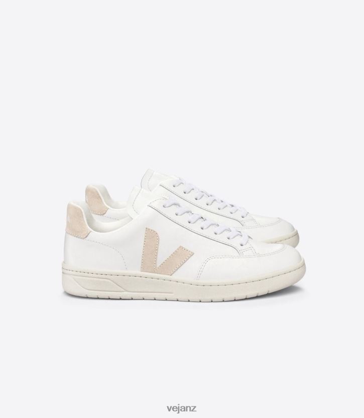 V-12 LEATHER WHITE SABLE Men Veja D42FZB25 Shoes