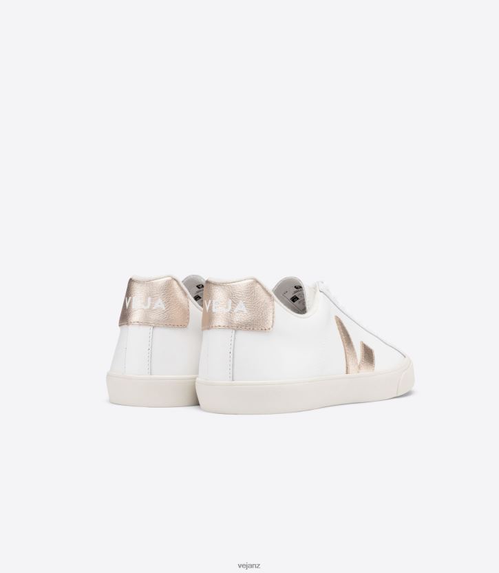 ESPLAR LEATHER WHITE PLATINE Women Veja D42FZB241 Shoes