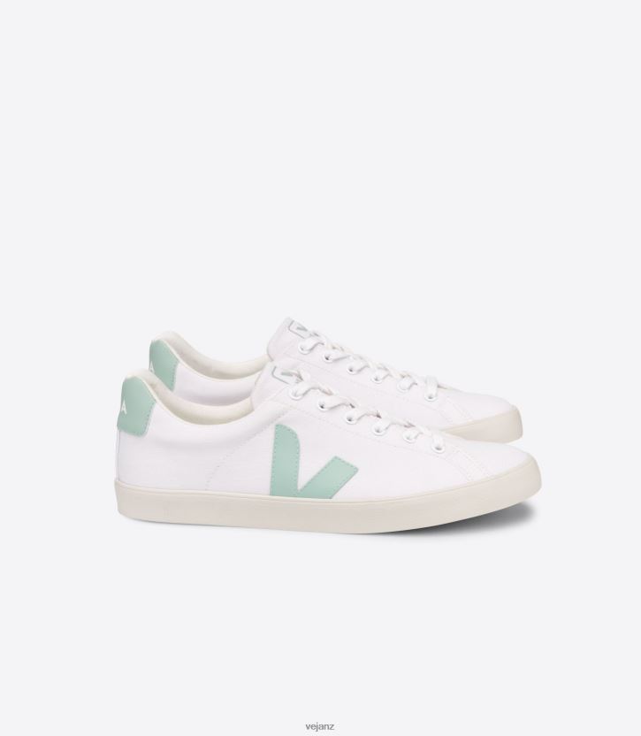 ESPLAR SE CANVAS WHITE MATCHA Women Veja D42FZB244 Shoes