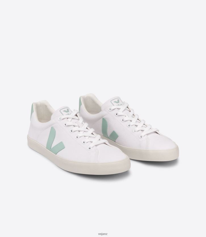 ESPLAR SE CANVAS WHITE MATCHA Women Veja D42FZB244 Shoes