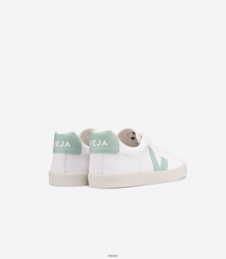 ESPLAR SE CANVAS WHITE MATCHA Women Veja D42FZB244 Shoes