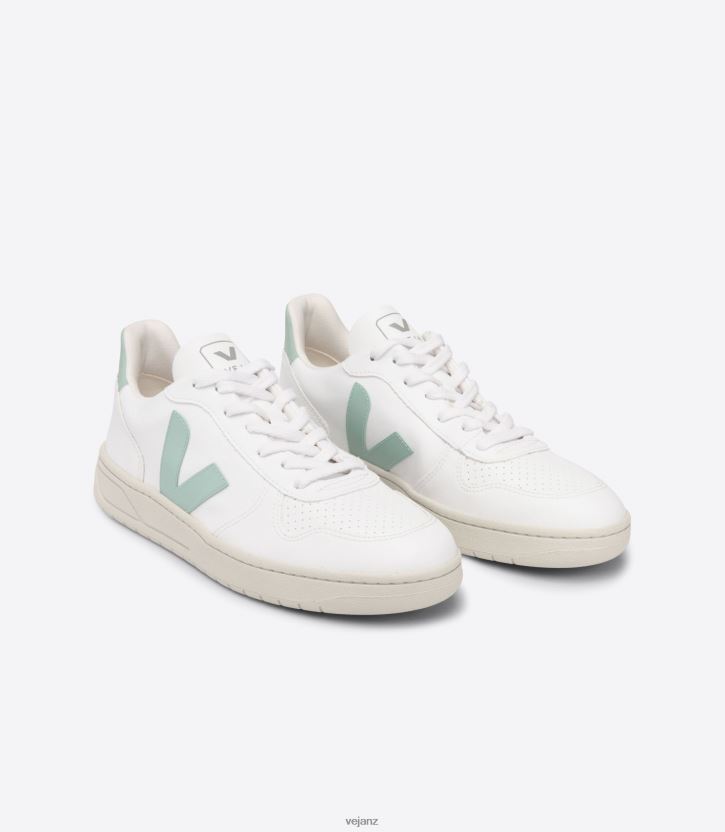V-10 CWL WHITE MATCHA Women Veja D42FZB298 Shoes
